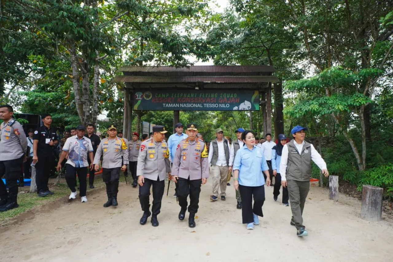 Kapolri-Titiek Soeharto Tinjau Tesso Nilo, Pastikan Konservasi Gajah Aman