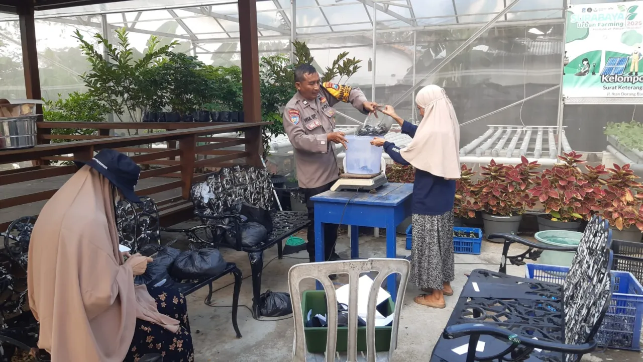 Ket Foto : Sinergi Polsek Krembangan dan KWT Dorang Cinta Panen Lele, Dukung Ketahanan Pangan Nasional. 