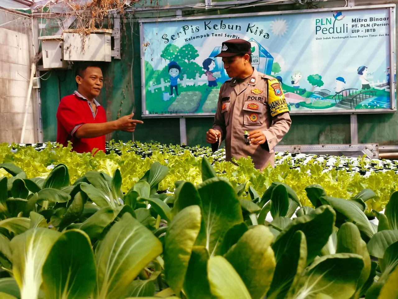 Ket Foto : Bhabinkamtibmas Jemur Wonosari Dukung Kelompok Tani Hidroponik untuk Perkuat Ketahanan Pangan Warga Surabaya