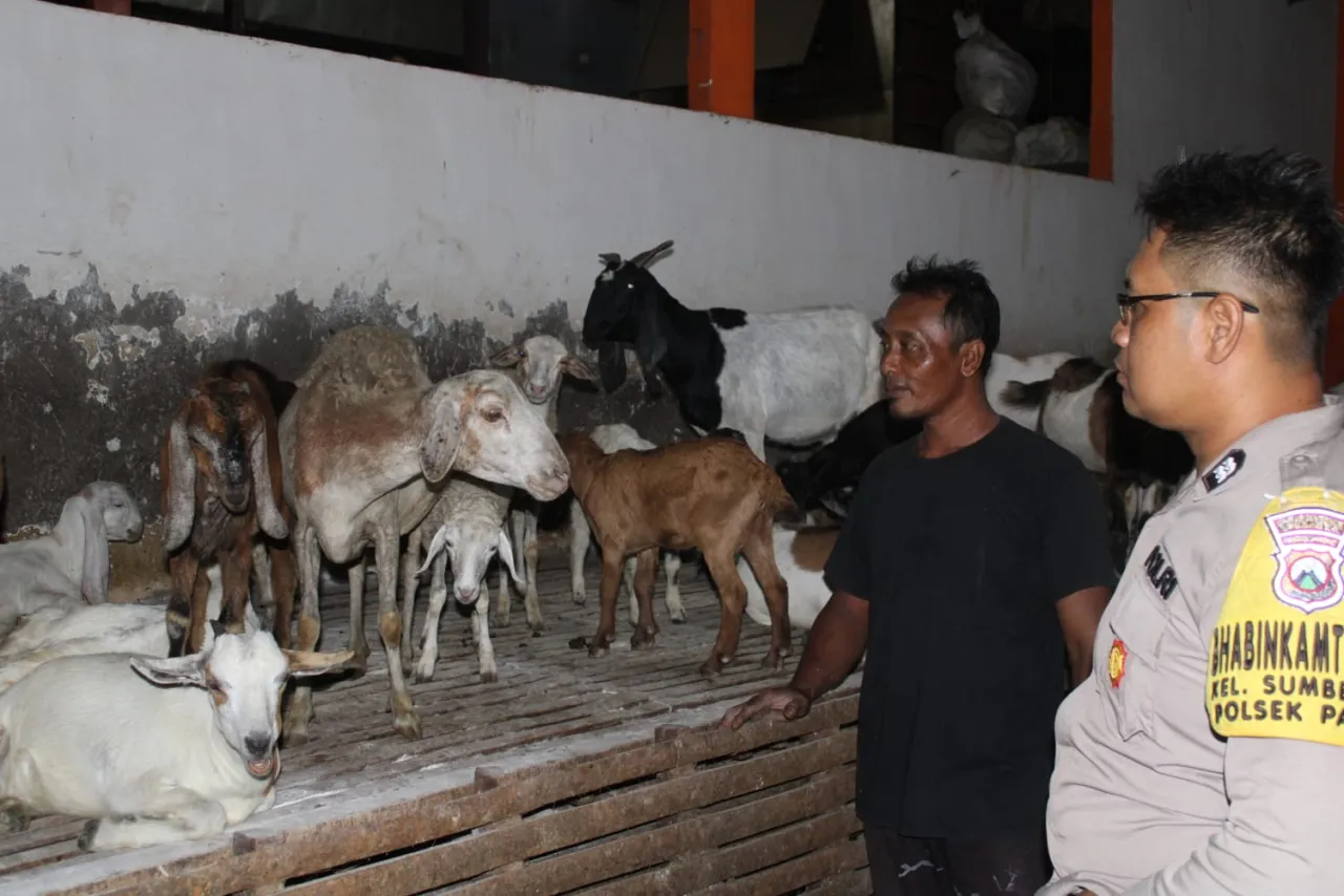 Ket Foto : Dukung Ketahanan Pangan, Bhabinkamtibmas Polsek Pakal Sambangi Peternak Kambing di Sumberrejo