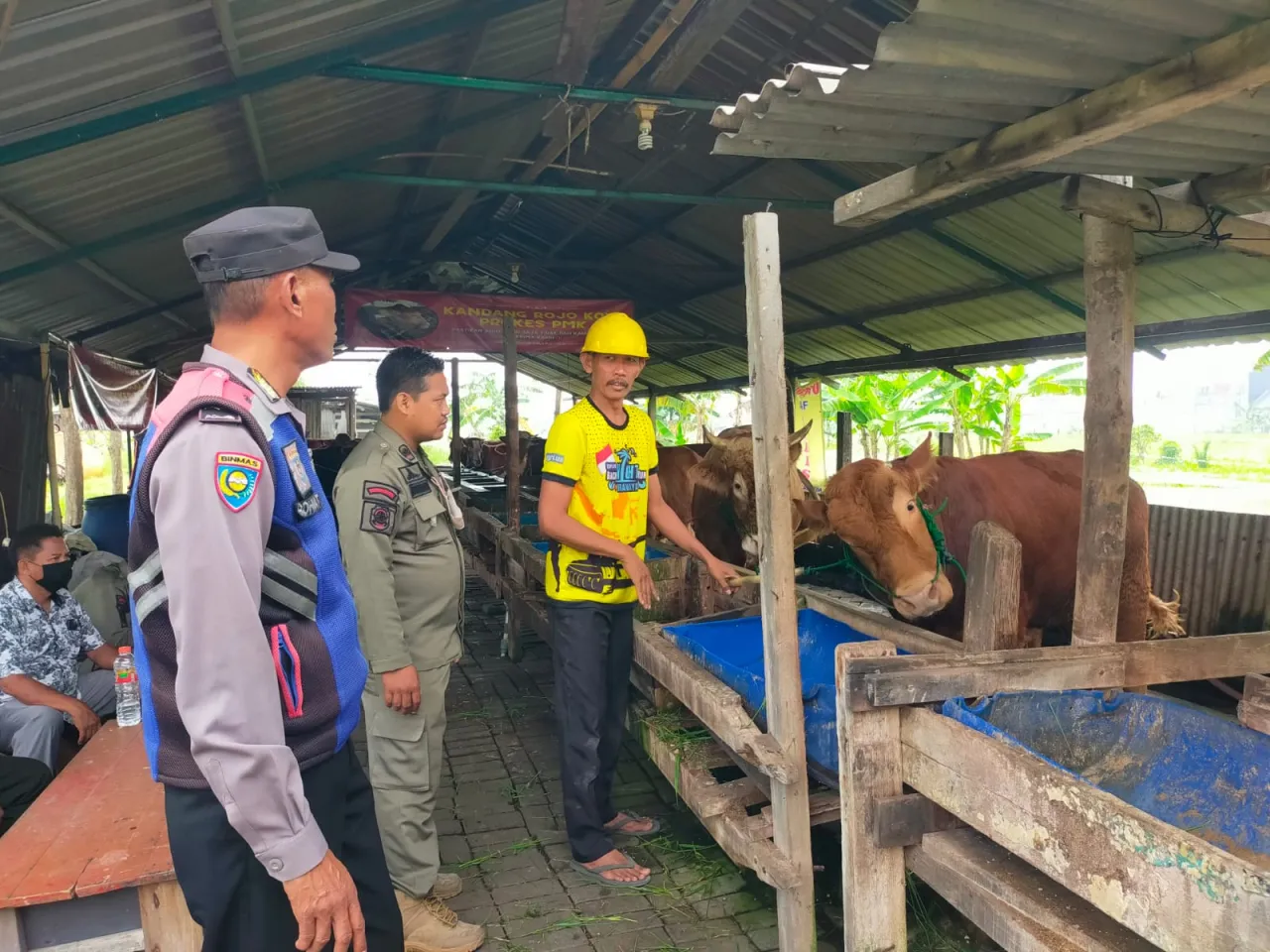 Ket Foto : Bhabinkamtibmas Polsek Pakal Dukung Ketahanan Pangan dengan Sambangi Peternak Sapi di Kelurahan Pakal
