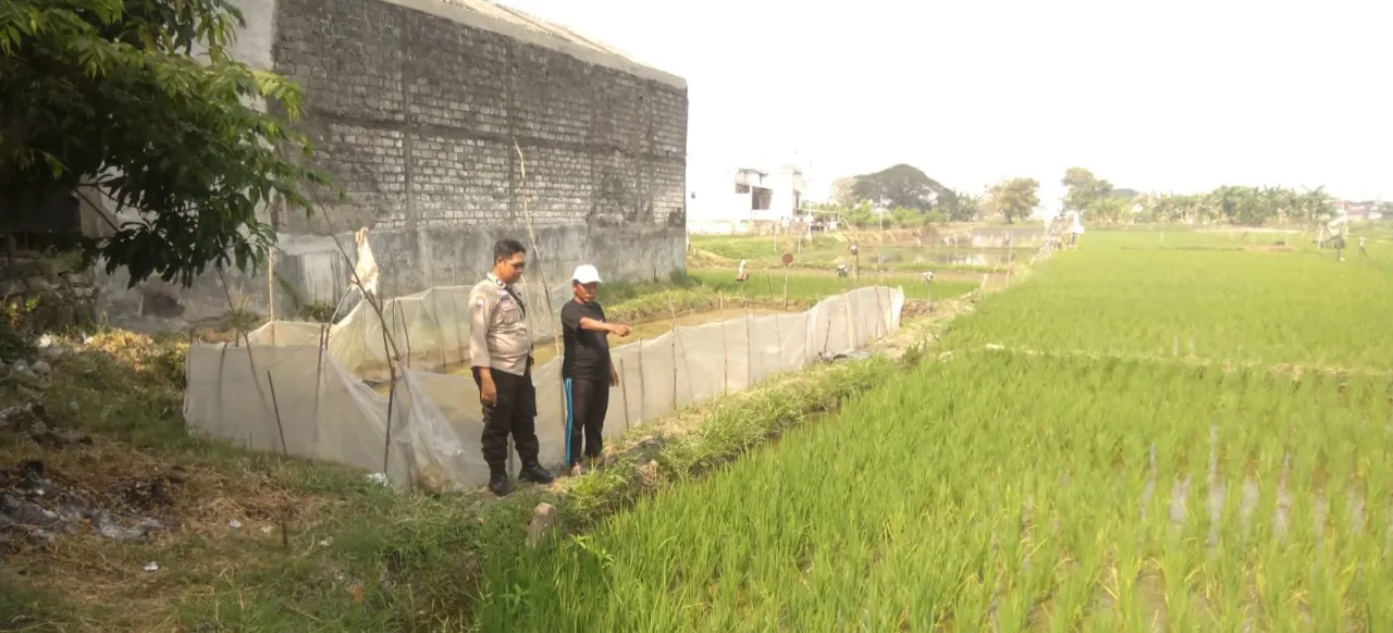 Ket Foto : Bhabinkamtibmas Kelurahan Sumberrejo Sambangi Petani Sawah Tumpang Sari, Berikan Himbauan Kamtibmas